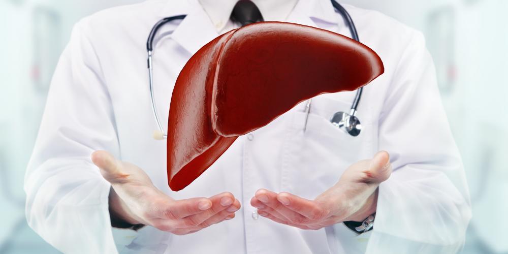 Doctor with stethoscope and liver on the  hands in a hospital