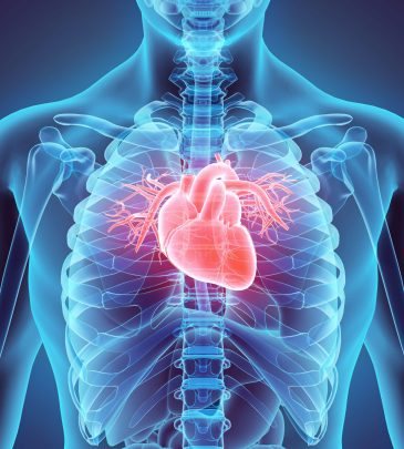 Care of the Aortic Stenosis Patient Undergoing Transaortic Valve Replacement (TAVR) (Viewing Only)