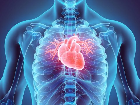 Care of the Aortic Stenosis Patient Undergoing Transaortic Valve Replacement (TAVR)