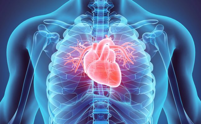 Care of the Aortic Stenosis Patient Undergoing Transaortic Valve Replacement (TAVR) (Viewing Only)