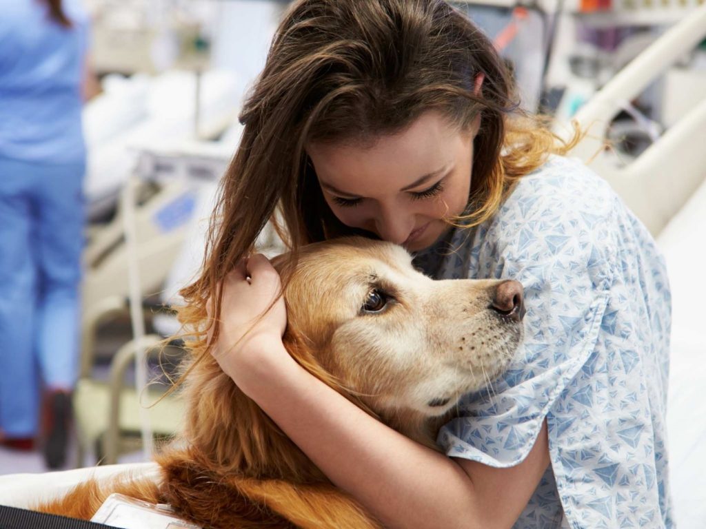 Animal assisted therapy